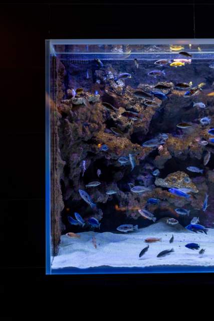 Спа-отель категории люкс, Париж · Maison Bauchart